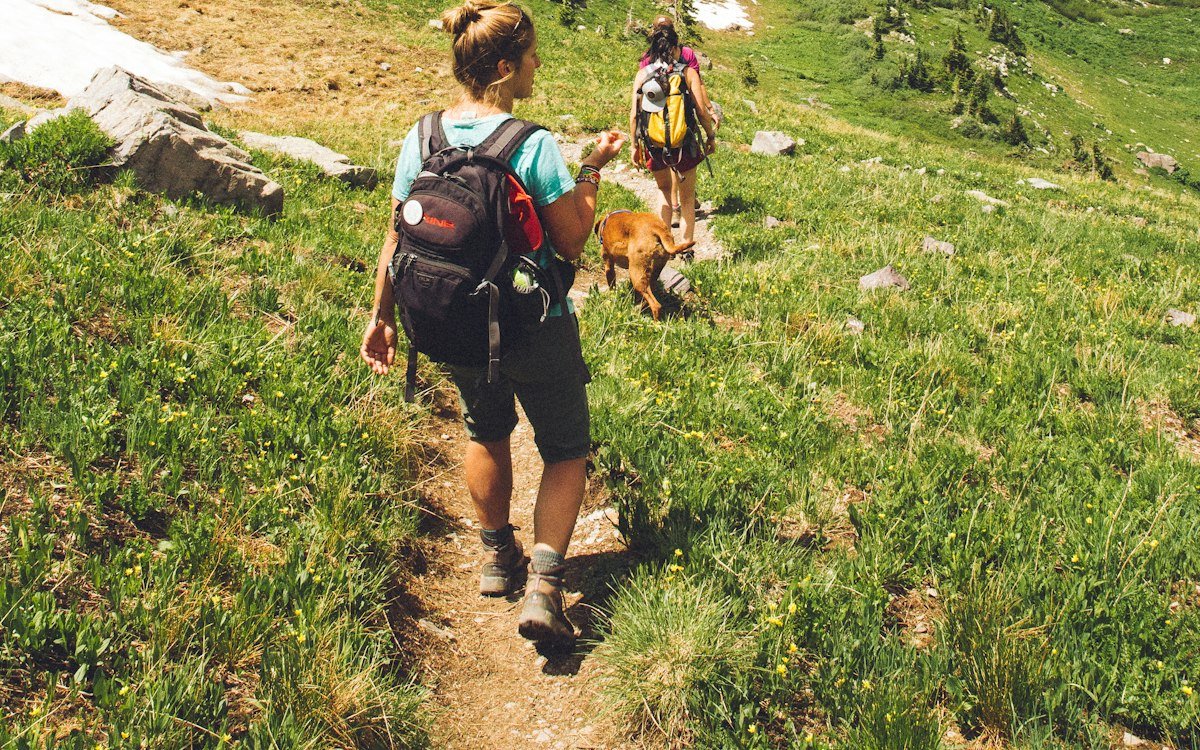 Two women hiking with a dog on a mountain trail in Crested Butte